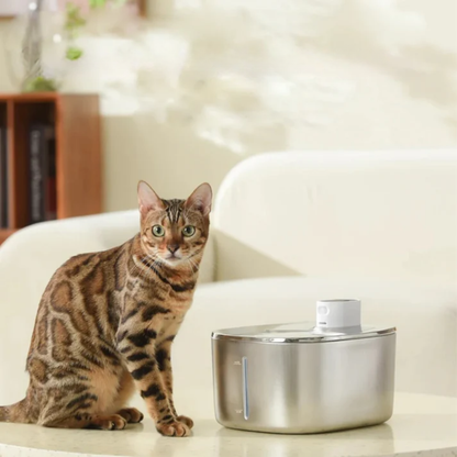 Fonte de Água Automática para Animais